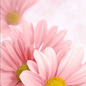 Meet your Posher, Toni